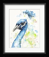 The Bold & The Beautiful Fine Art Print