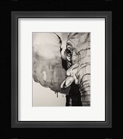 Watercolor Elephant Fine Art Print
