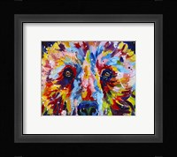 Grizzly Bear Fine Art Print
