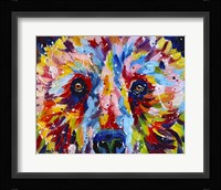 Grizzly Bear Fine Art Print