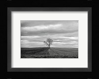 Half Done Fine Art Print