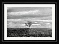 Half Done Fine Art Print