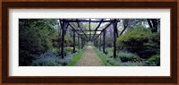 Garden path, Old Westbury Gardens, Long Island Fine Art Print