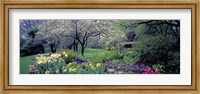 Country garden, Old Westbury Gardens, Long Island Fine Art Print