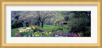 Country garden, Old Westbury Gardens, Long Island Fine Art Print