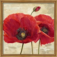 Red Poppies (detail II) Fine Art Print