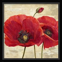 Red Poppies (detail II) Fine Art Print