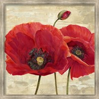 Red Poppies (detail II) Fine Art Print