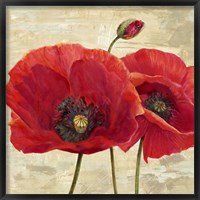 Red Poppies (detail II) Fine Art Print
