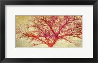 Coral Tree Fine Art Print