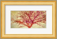 Coral Tree Fine Art Print