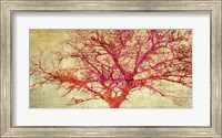 Coral Tree Fine Art Print