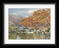 Ruscello Silvestre Fine Art Print