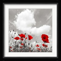 Papaveri e Nuvole Fine Art Print