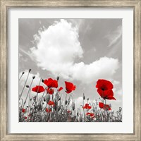 Papaveri e Nuvole Fine Art Print