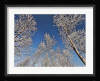 Sottozero Fine Art Print