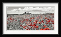 Farm House with Cypresses and Poppies, Tuscany, Italy Fine Art Print
