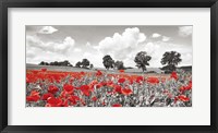 Poppies and Vicias in Meadow, Mecklenburg Lake District, Germany Fine Art Print