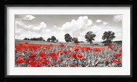 Poppies and Vicias in Meadow, Mecklenburg Lake District, Germany Fine Art Print