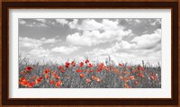 Poppies in Corn Field, Bavaria, Germany Fine Art Print