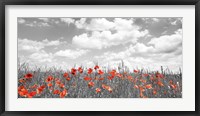 Poppies in Corn Field, Bavaria, Germany Fine Art Print