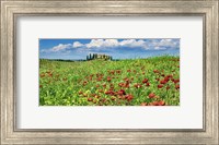 Farm House with Cypresses and Poppies, Tuscany, Italy Fine Art Print