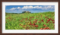Farm House with Cypresses and Poppies, Tuscany, Italy Fine Art Print