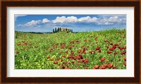 Farm House with Cypresses and Poppies, Tuscany, Italy Fine Art Print