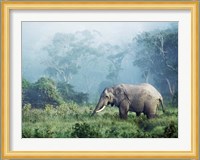 African Elephant, Ngorongoro Crater, Tanzania Fine Art Print