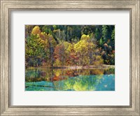 Forest in autumn colours, Sichuan, China Fine Art Print