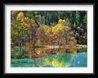 Forest in autumn colours, Sichuan, China Fine Art Print