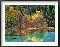 Forest in autumn colours, Sichuan, China Fine Art Print