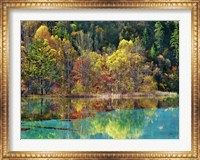 Forest in autumn colours, Sichuan, China Fine Art Print