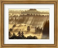 Fog Impression At Sindelbachfilz, Bavaria, Germany Fine Art Print
