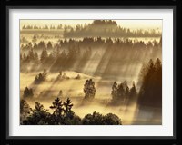 Fog Impression At Sindelbachfilz, Bavaria, Germany Fine Art Print