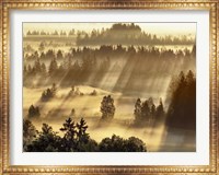 Fog Impression At Sindelbachfilz, Bavaria, Germany Fine Art Print