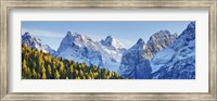 Larch Forest And Cima Bel Pra, Italy Fine Art Print