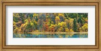 Lake And Forest In Autumn, China Fine Art Print