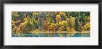 Lake And Forest In Autumn, China Fine Art Print