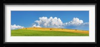 Corn Field Harvested, Tuscany, Italy Fine Art Print