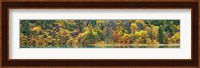 Lake and Forest in Autumn, China Fine Art Print