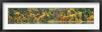 Lake and Forest in Autumn, China Fine Art Print