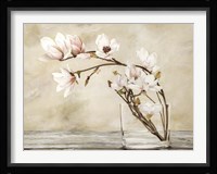 Fiori di Magnolia Fine Art Print