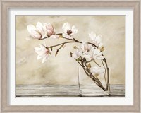 Fiori di Magnolia Fine Art Print