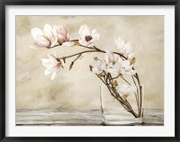 Fiori di Magnolia Fine Art Print