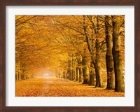 Woods in Autumn Fine Art Print