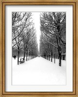 The Tuileries Garden under the Snow, Paris Fine Art Print