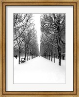 The Tuileries Garden under the Snow, Paris Fine Art Print