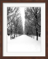 The Tuileries Garden under the Snow, Paris Fine Art Print