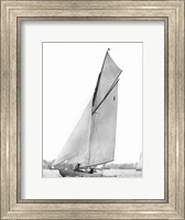 Sailing in Sydney Harbour Fine Art Print
